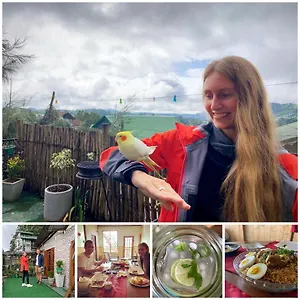  Bed & Breakfast Golden King Guest